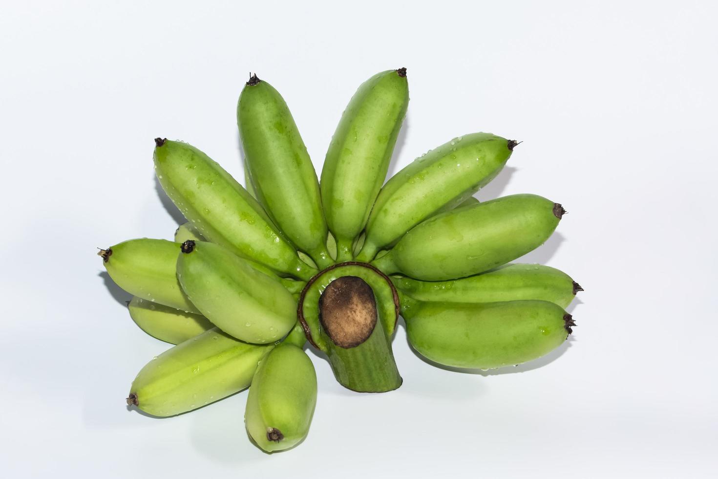 bananas verdes em fundo branco foto