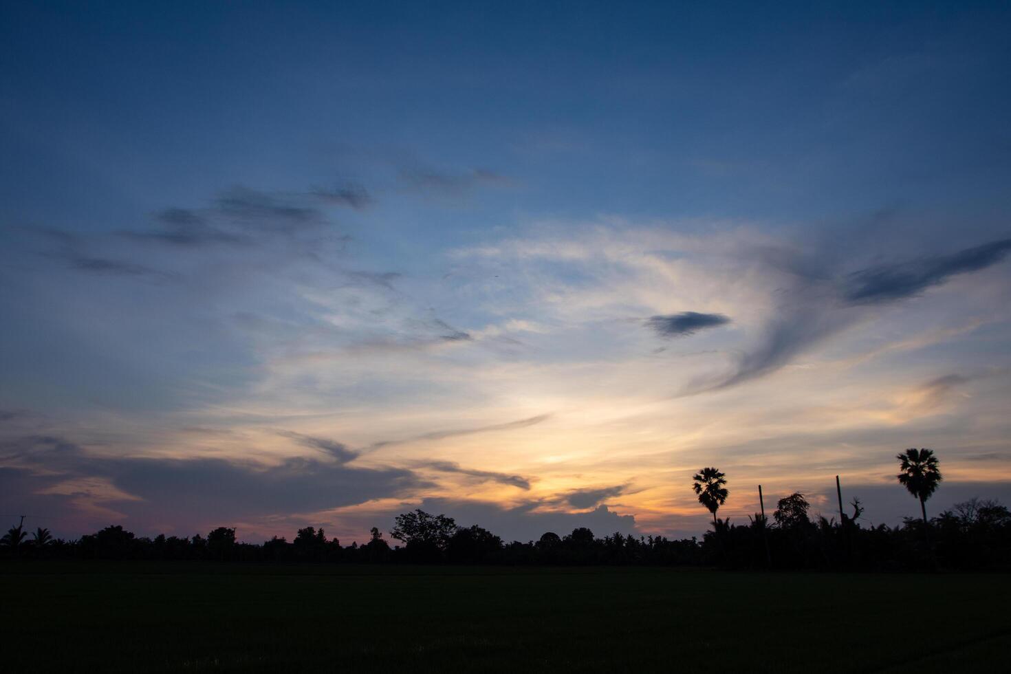 pôr do sol sobre o campo de arroz foto