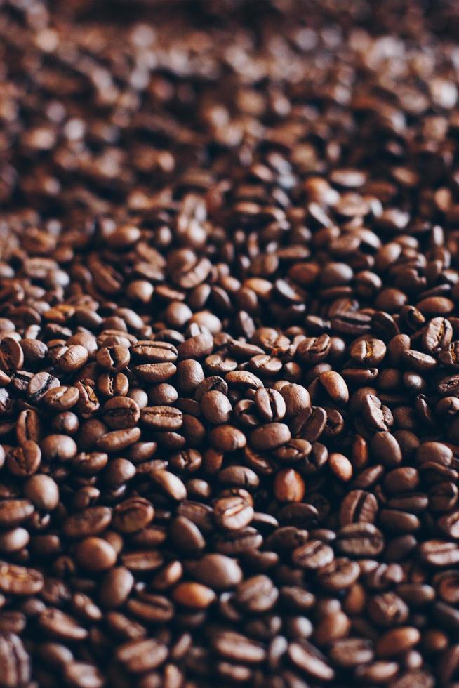 close up de grãos de café foto