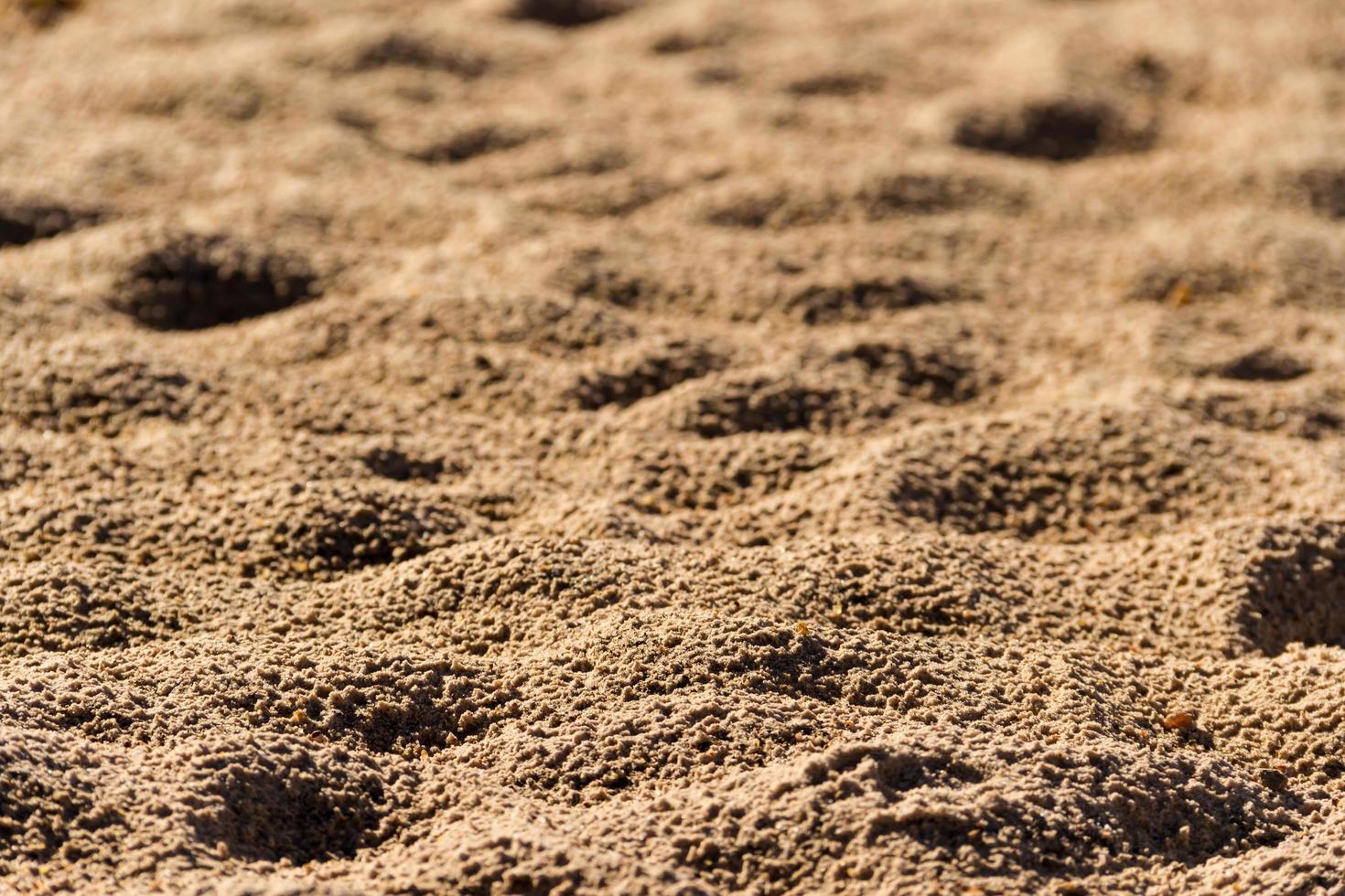 fundo com textura de areia e duna no verão foto