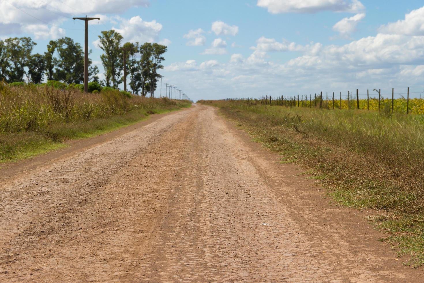 conceito de distância com estrada de campo na planície foto