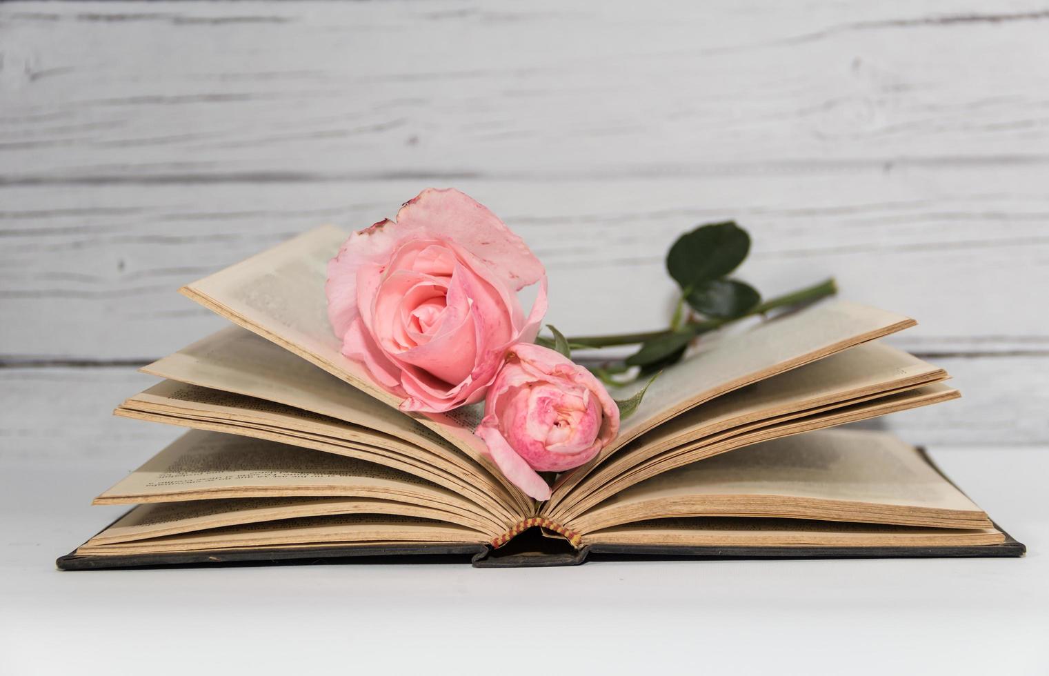 rosas cor de rosa e livros em madeira rústica foto