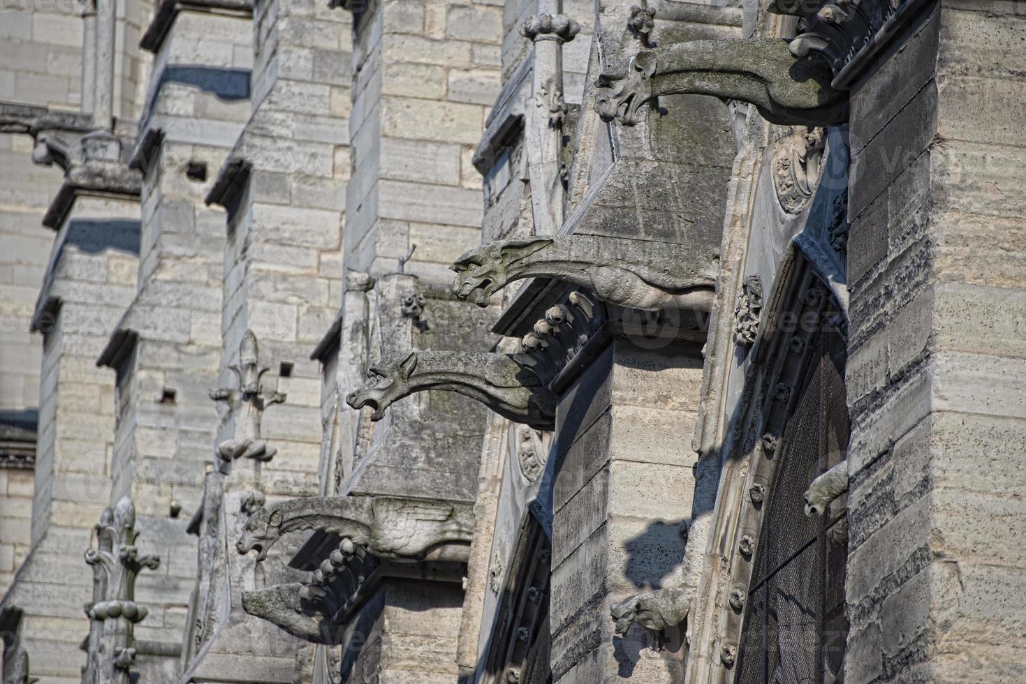 estátuas e gárgulas de notre dame paris foto