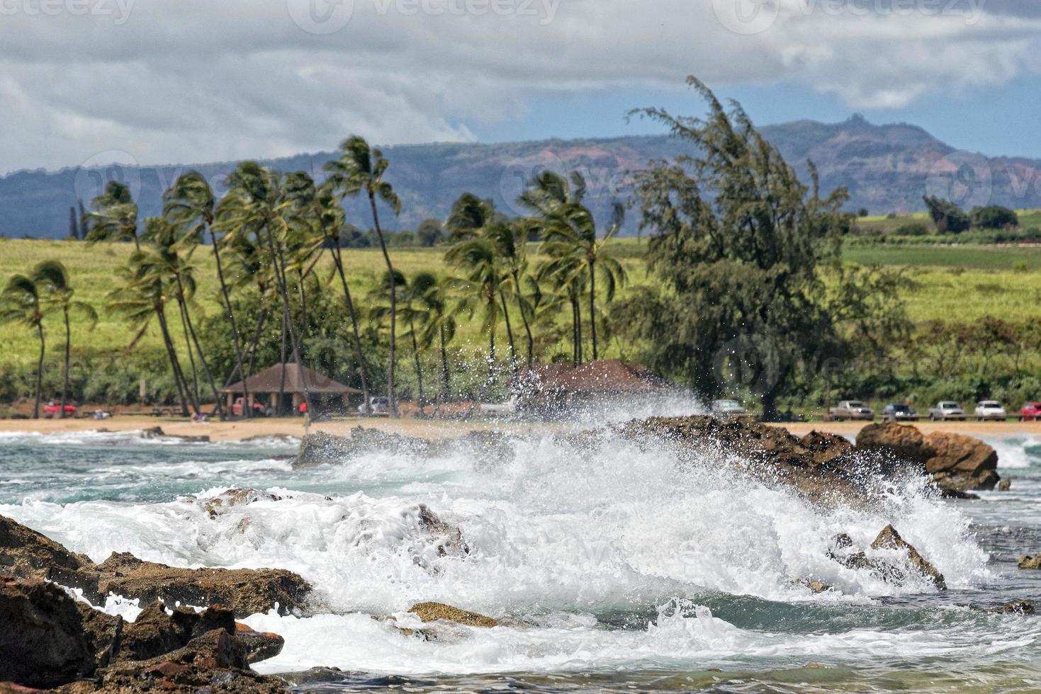 ondas do oceano pacífico na costa foto