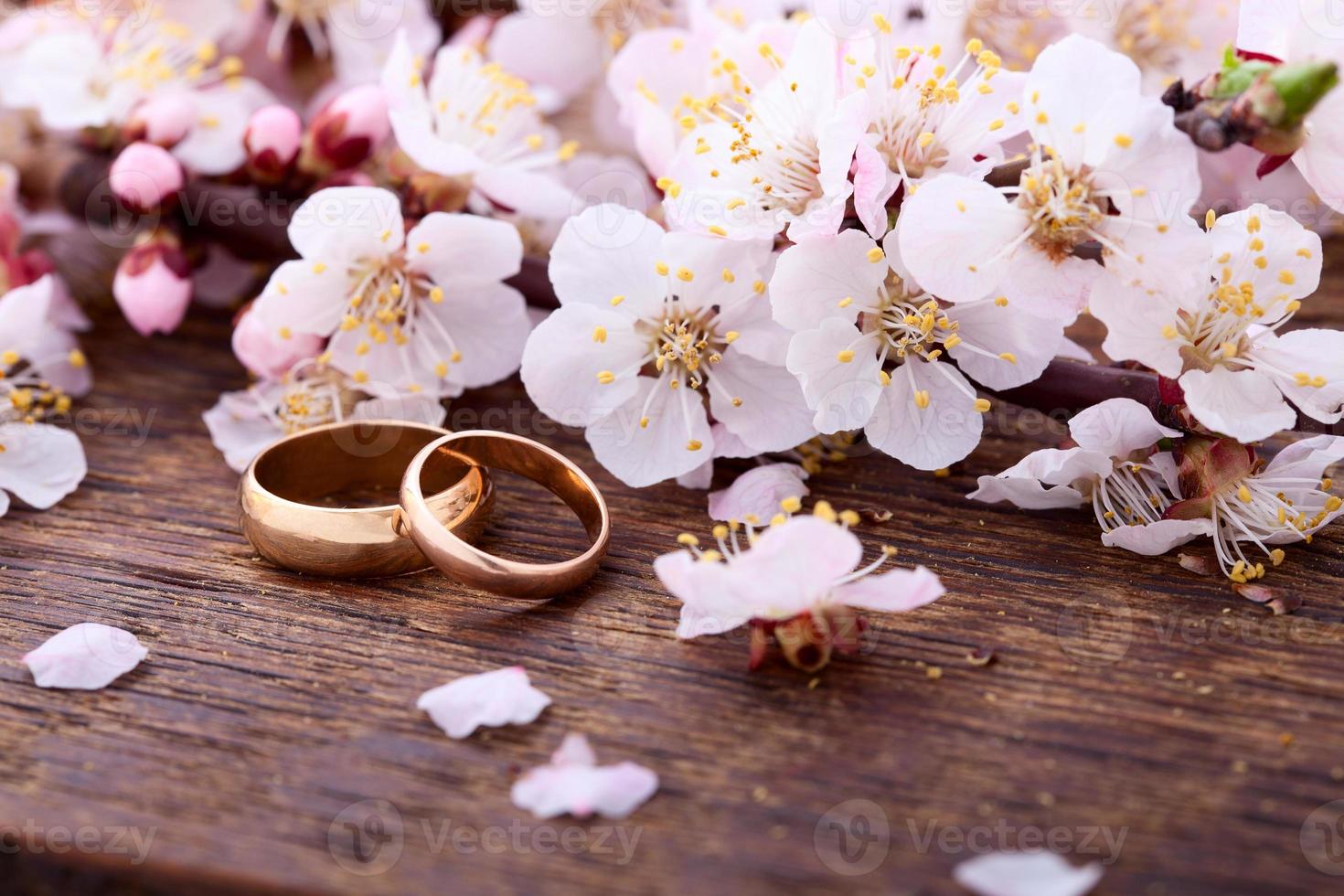 alianças de casamento. primavera. ramo de floração na superfície de madeira. foto
