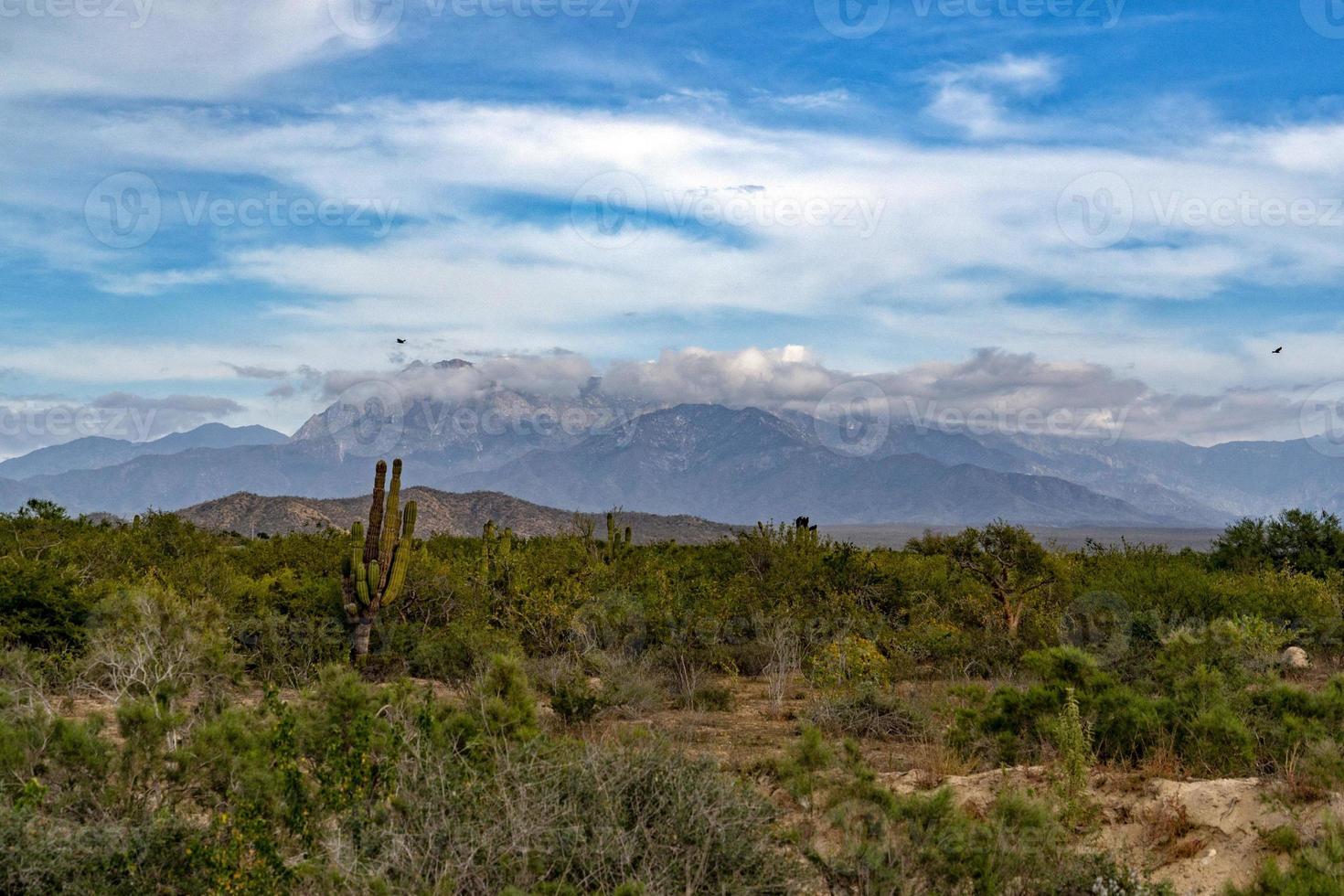 sierra de la laguna baja california sur foto