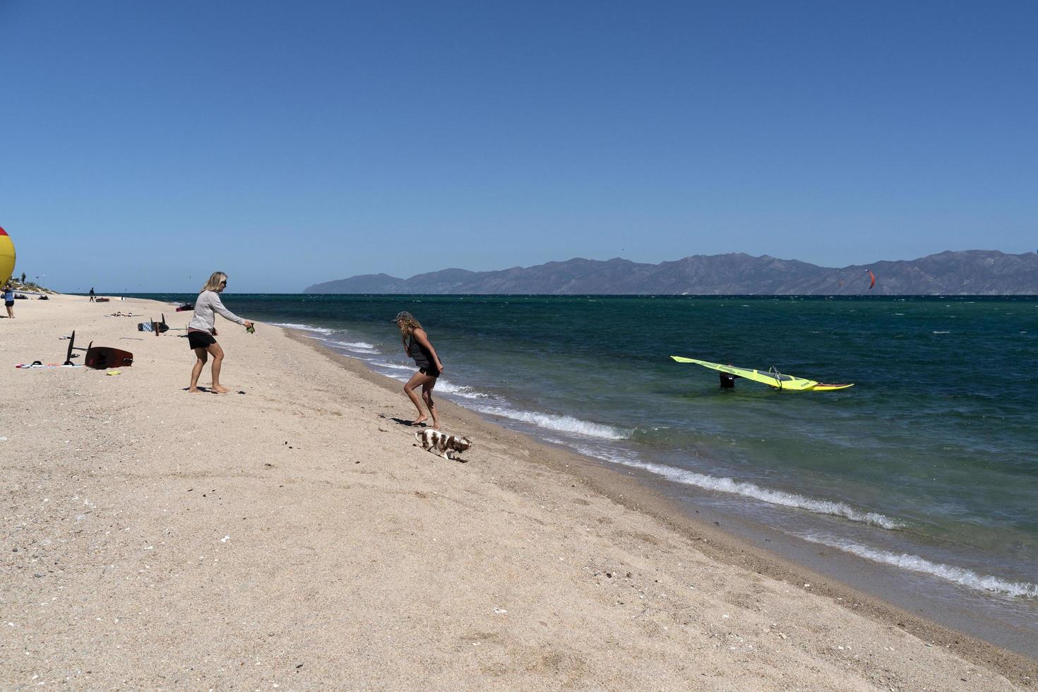 la ventana, méxico - 16 de fevereiro de 2020 - kitesurf na praia ventosa foto