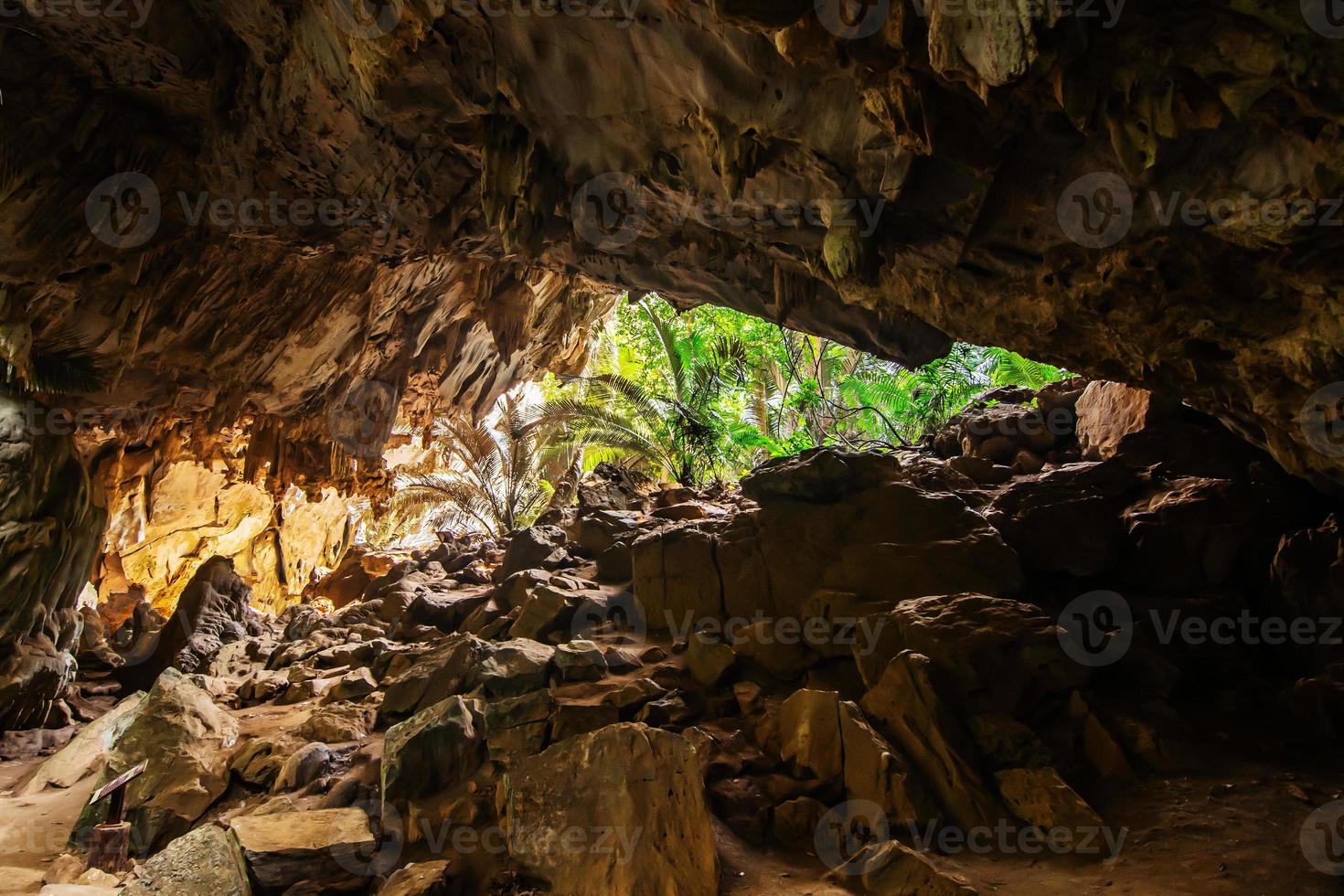 paisagem de caverna e árvore hup pa tat, uthai thani, tailândia foto