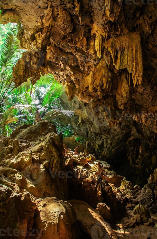 paisagem de caverna e árvore hup pa tat, uthai thani, tailândia foto