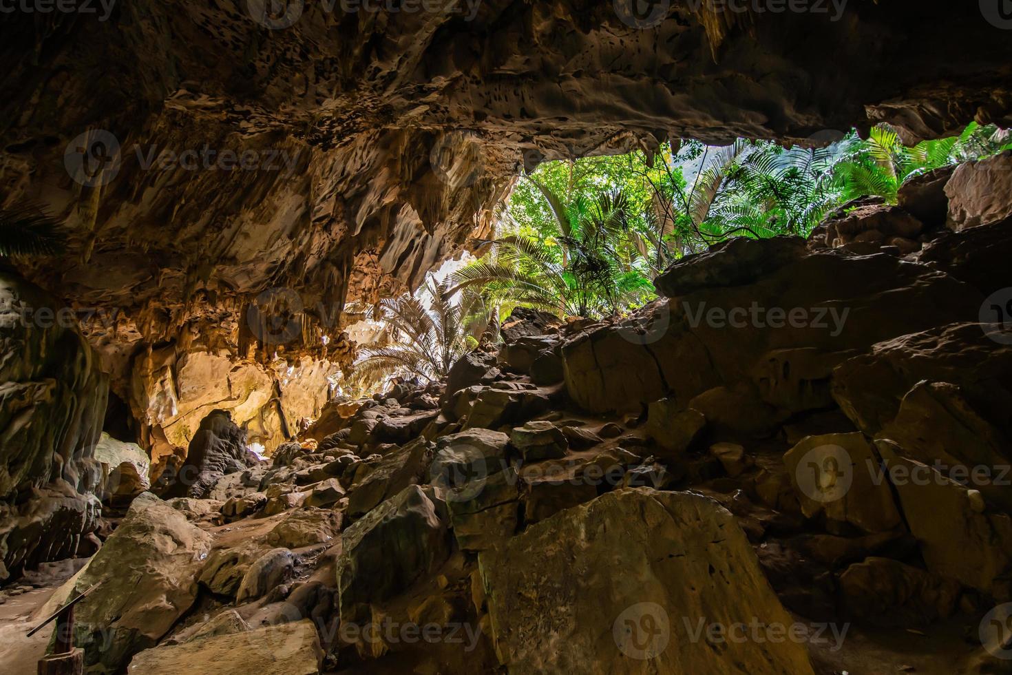 paisagem de caverna e árvore hup pa tat, uthai thani, tailândia foto