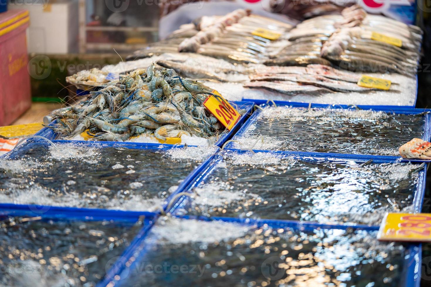 camarões azuis frescos nadam no tanque para vendas e cozinham no mercado fresco local da ásia. foto