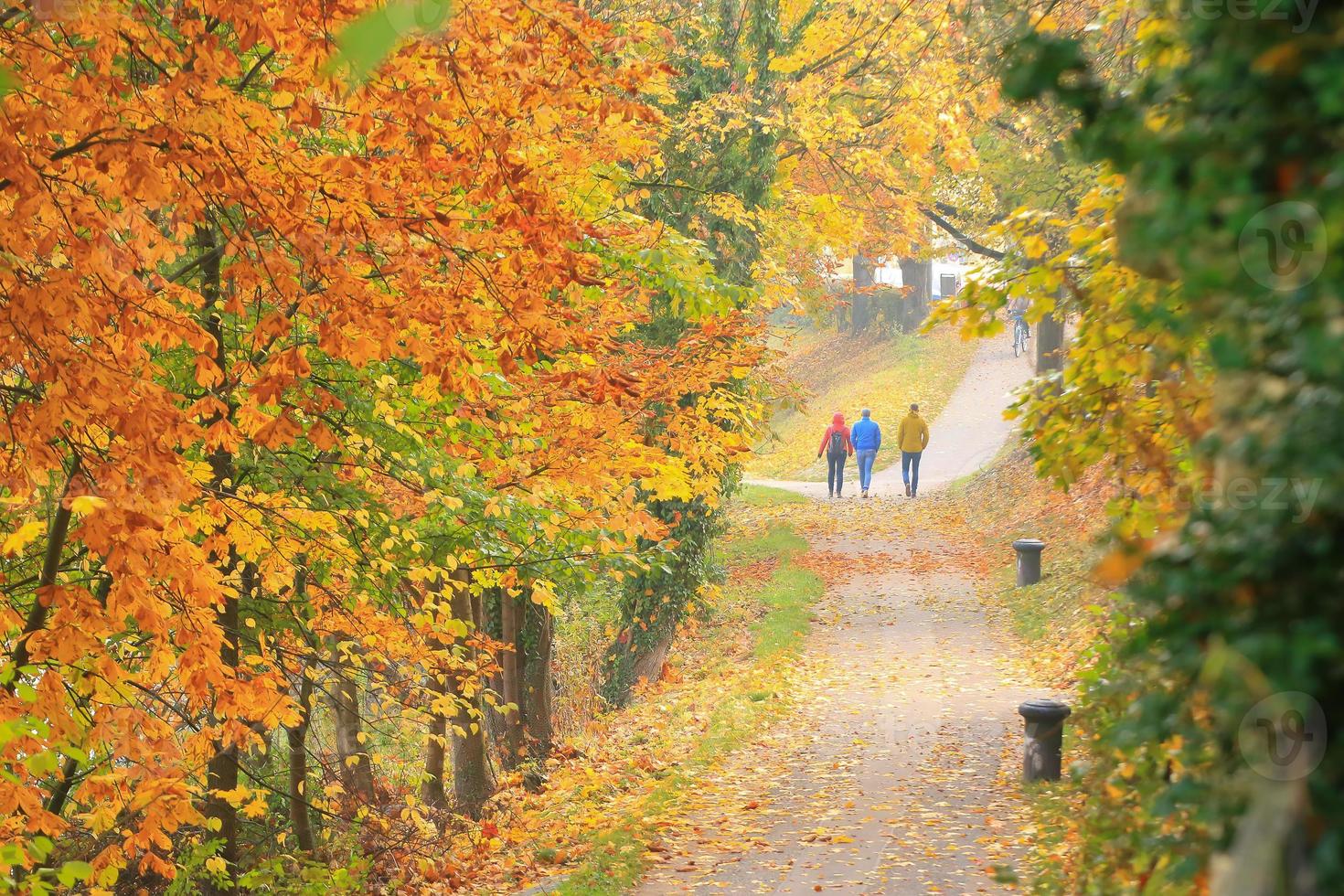 pessoas andando na rua ao longo das árvores de outono foto