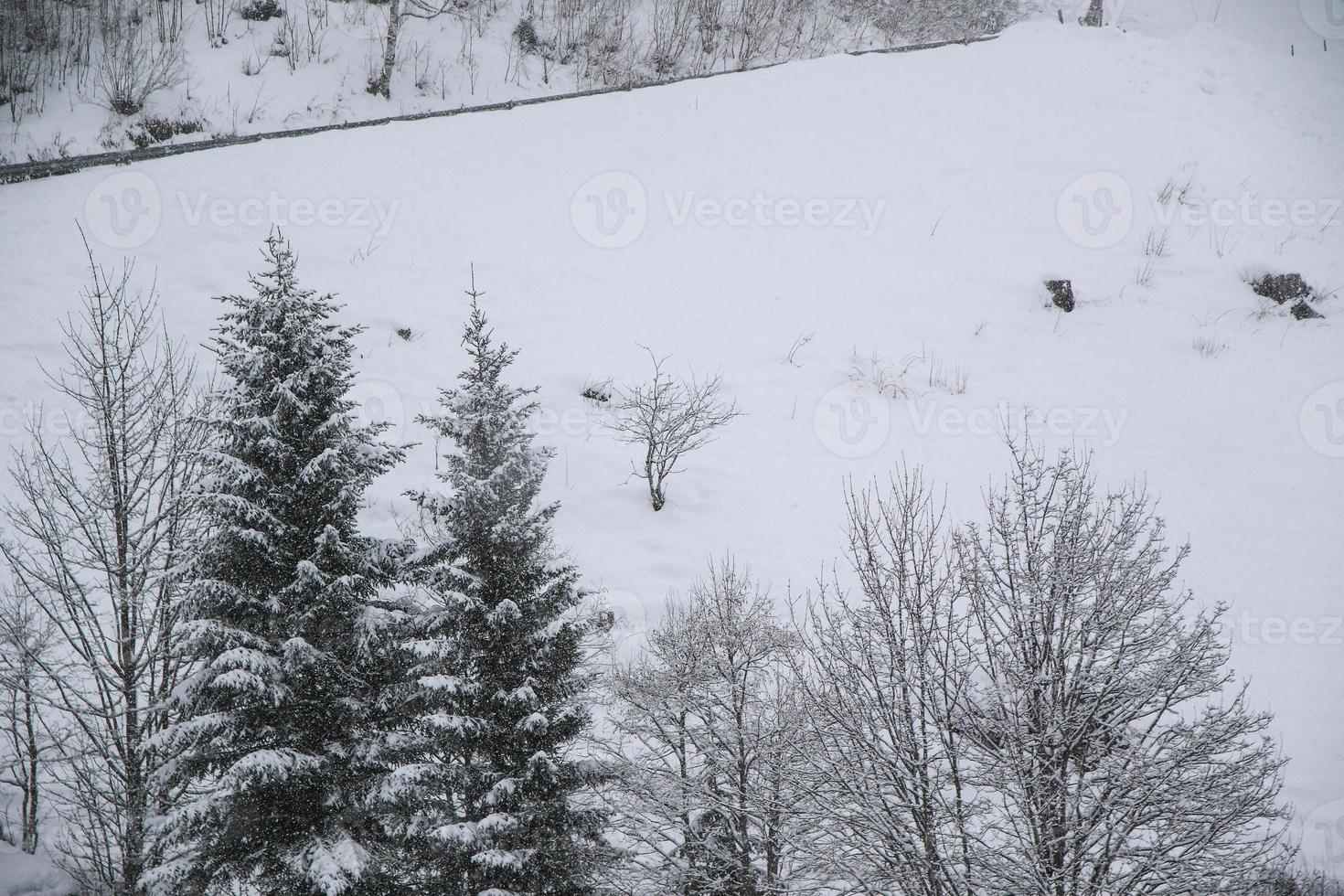 paisagem de inverno nos alpes austríacos foto