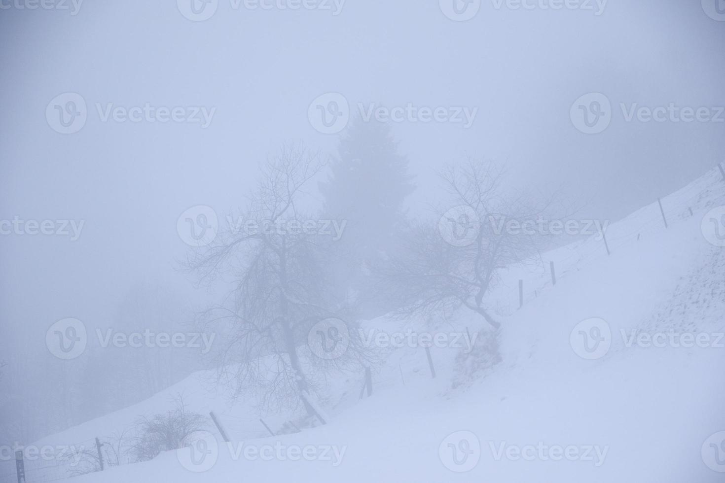 paisagem de inverno nos alpes austríacos foto