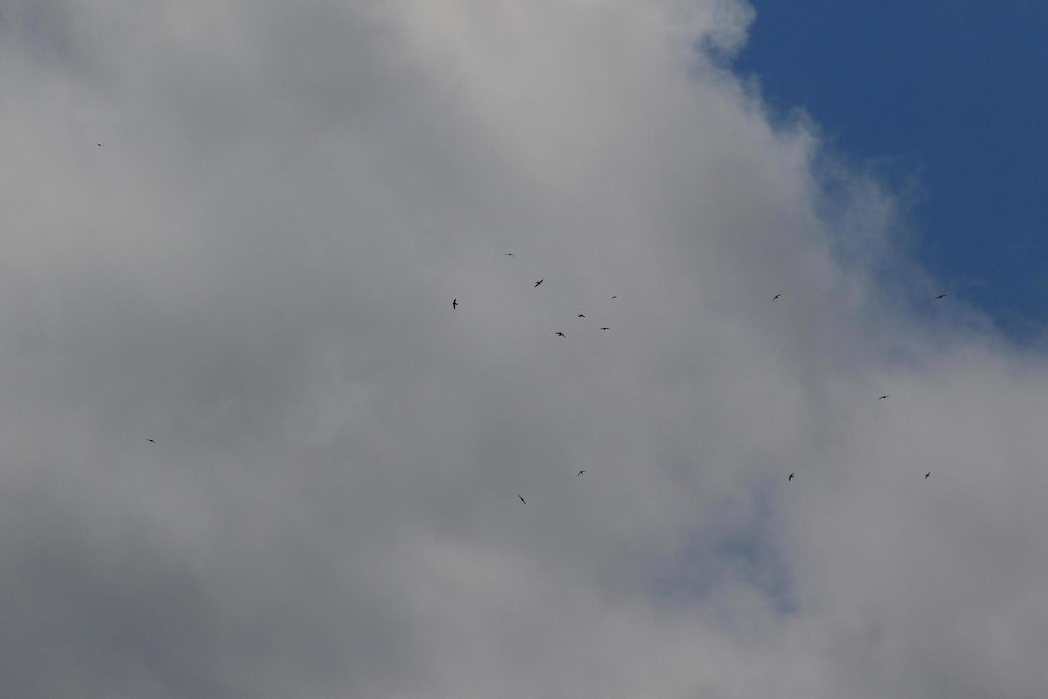 tempo tempestuoso e nuvens escuras foto