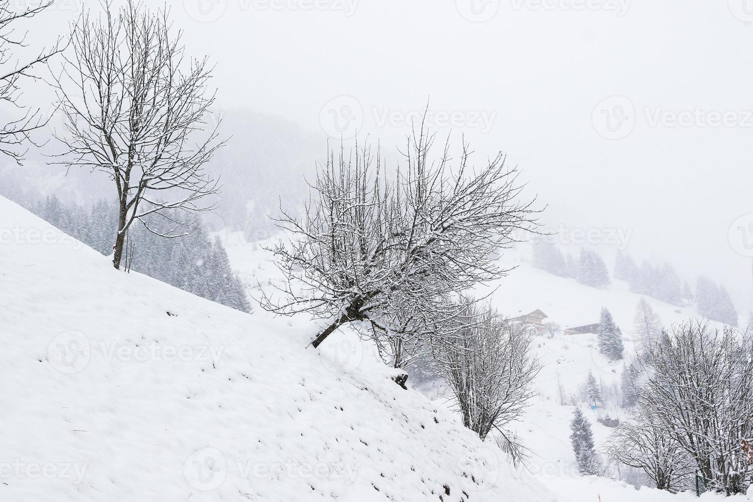 paisagem de inverno nos alpes austríacos foto