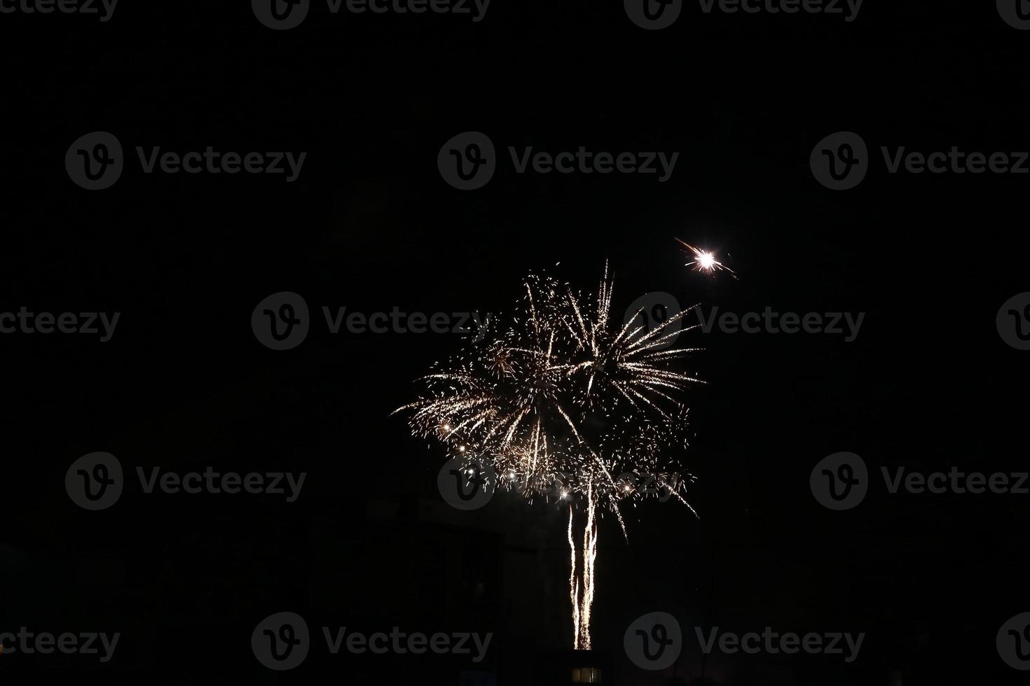 fogos de artifício coloridos no céu negro foto