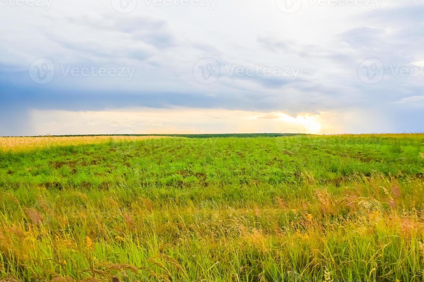 paisagem de campo verde com céu azul e nuvens tempestuosas. foto