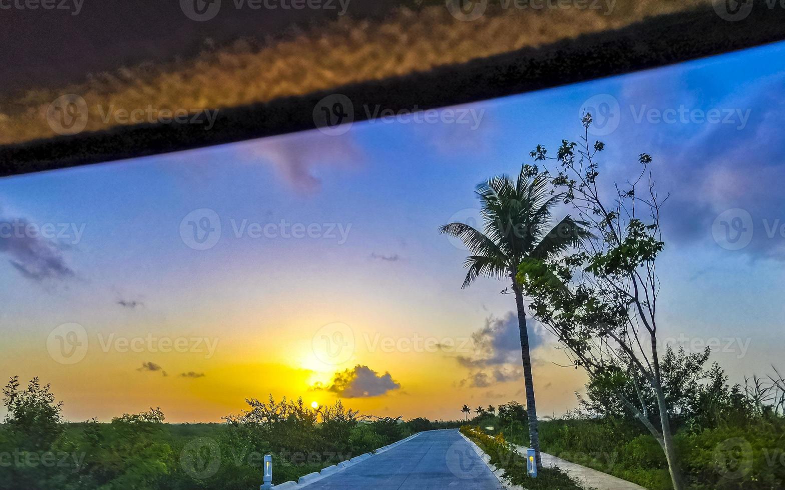 lindo nascer do sol colorido com sombra de palmeiras no méxico. foto