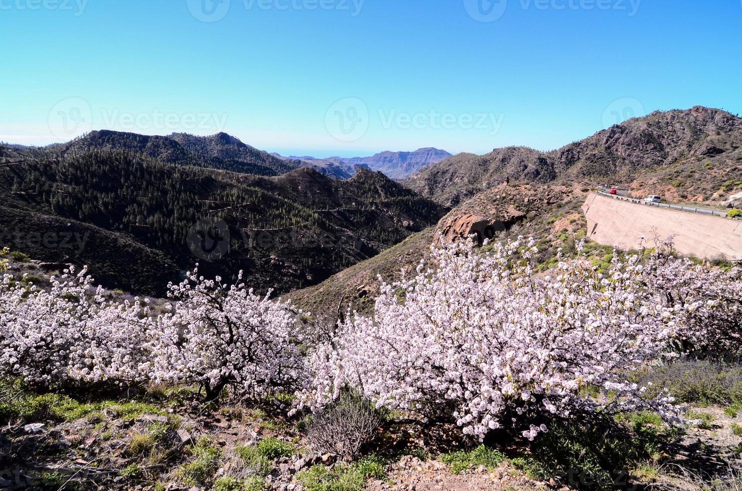 paisagem montanhosa nas ilhas canárias foto