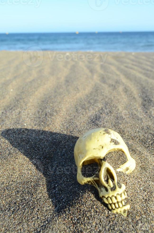 crânio na praia foto