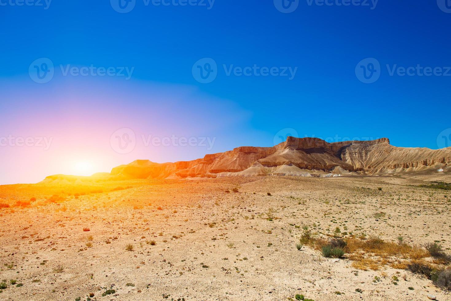 deserto do negev, israel foto