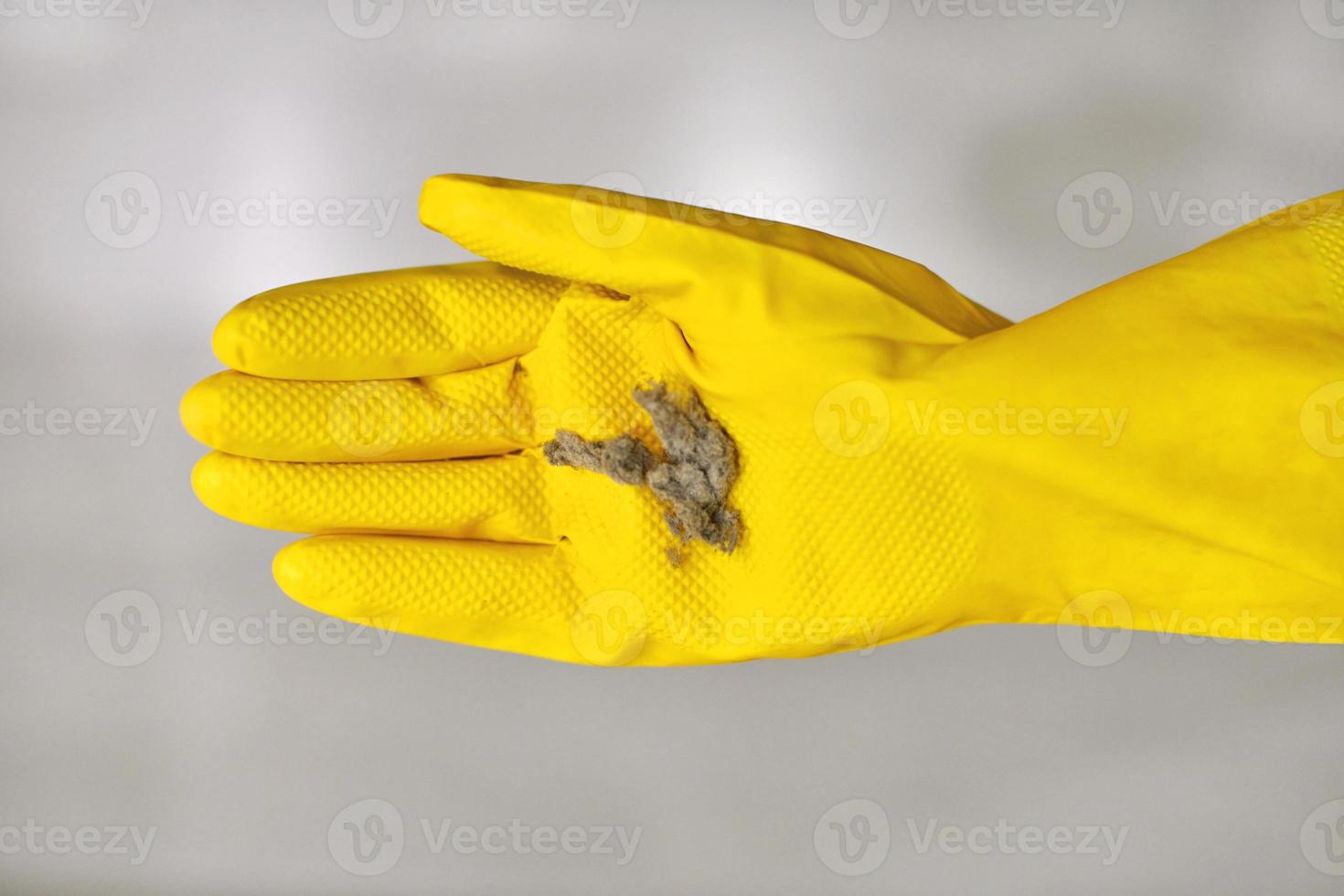 mão na luva de borracha segurando bolas de poeira após a limpeza. foto