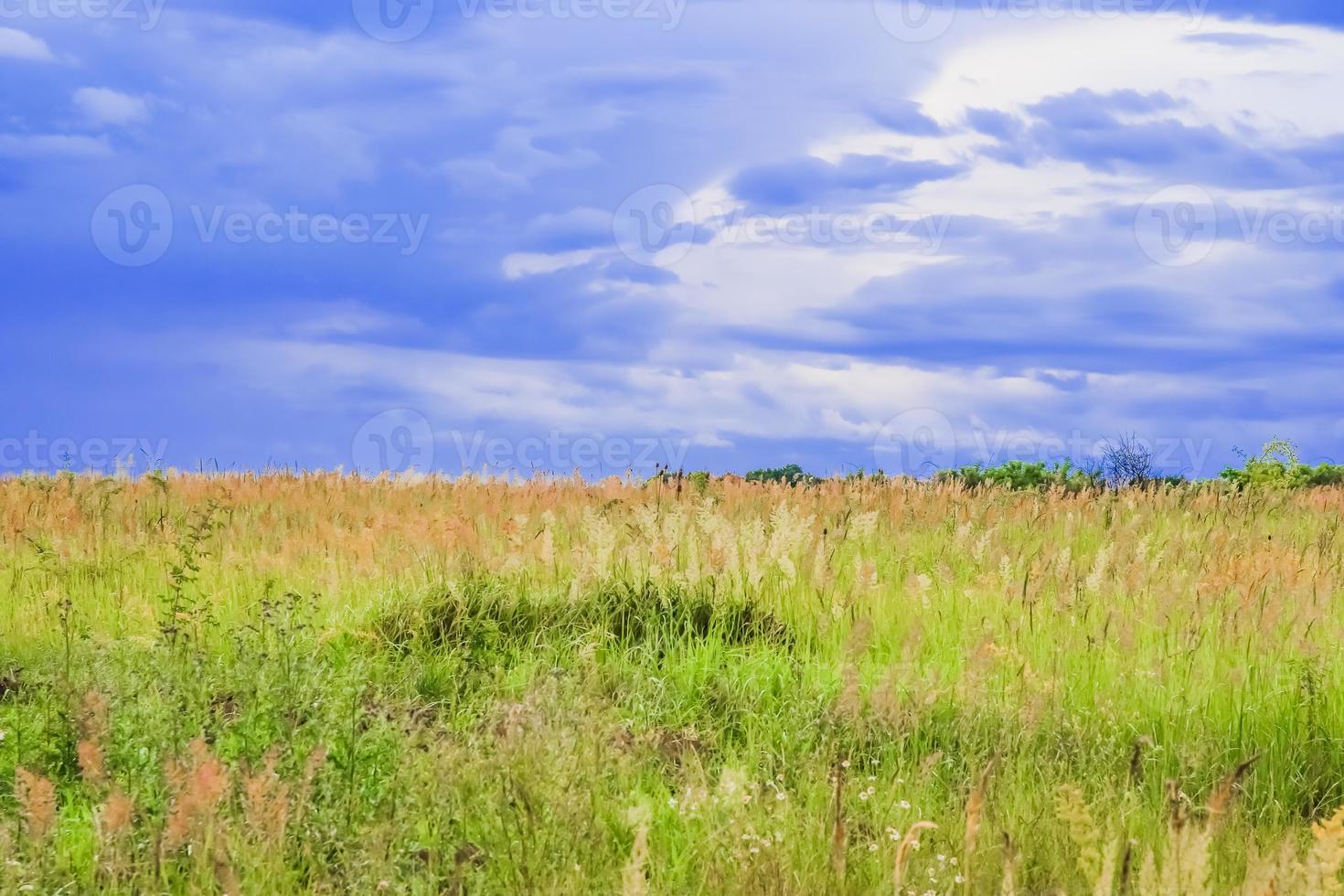 paisagem de campo verde com céu azul e nuvens tempestuosas. foto