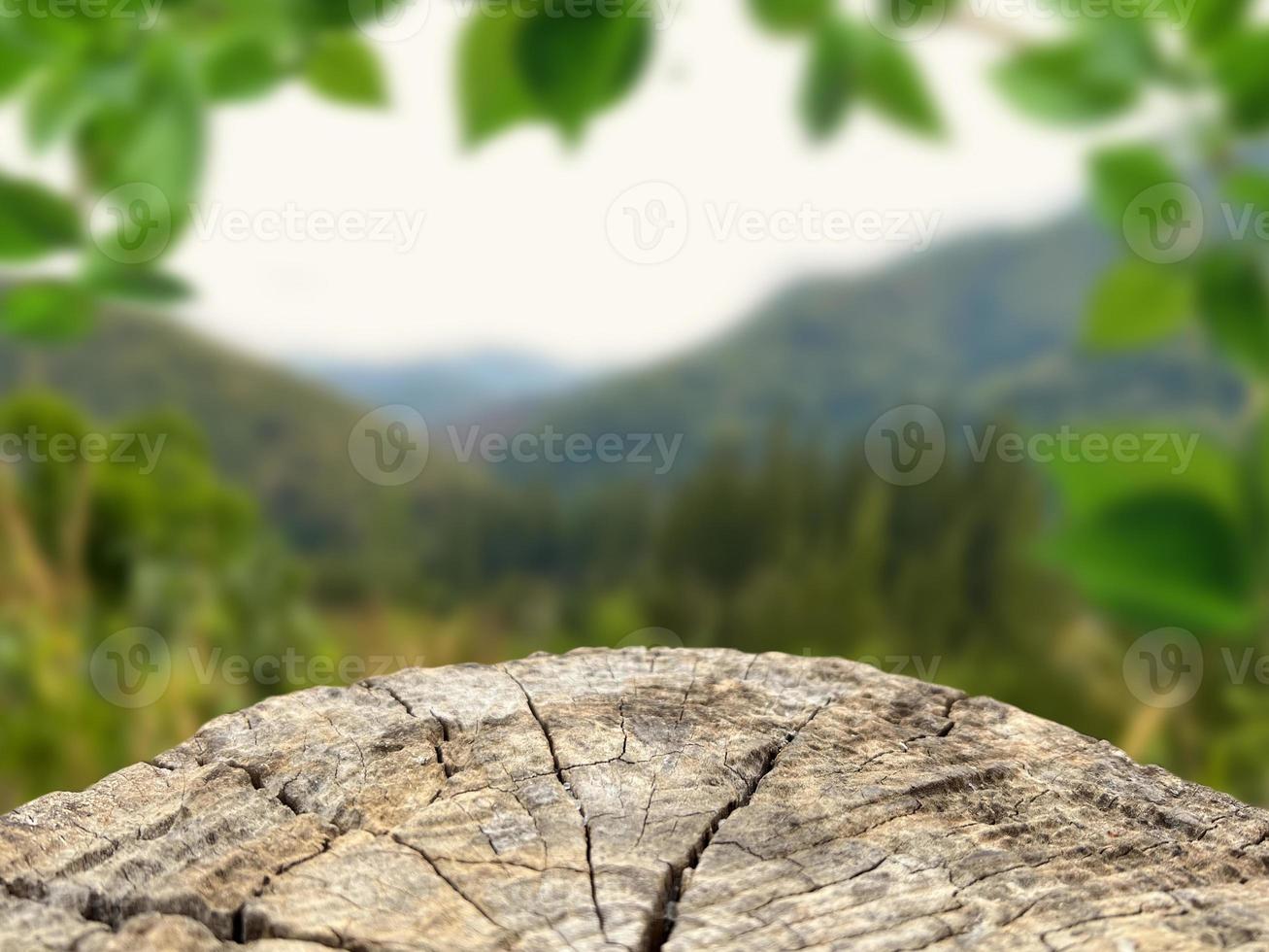 mesa vazia de tábua de madeira na frente do fundo desfocado, espaço para montagem, mostre seus produtos ou maquete para exibição do estilo natural do produto. foto