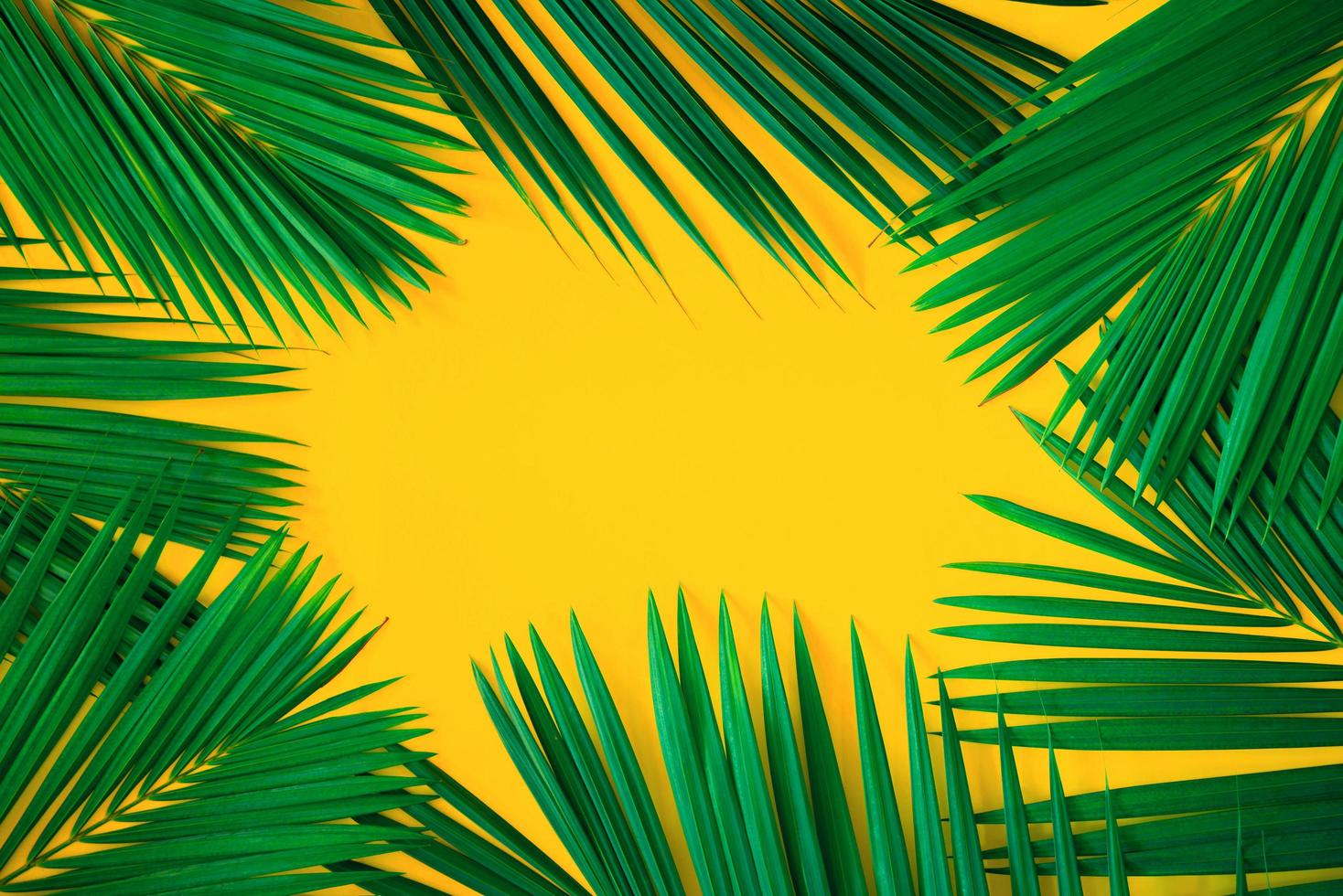 folhas de palmeira tropical verde sobre fundo amarelo brilhante. layout de natureza criativa feita de folhas. arte conceitual. conceito de verão, fundo de folha de palmeira tropical, espaço para texto. foto