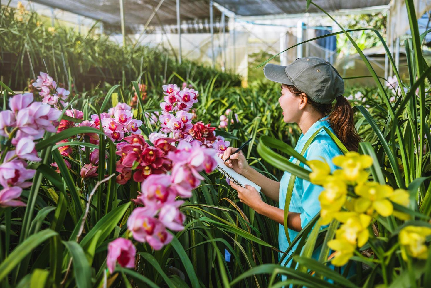 a menina nota as mudanças no crescimento das orquídeas no jardim. lindo fundo de orquídea na natureza foto