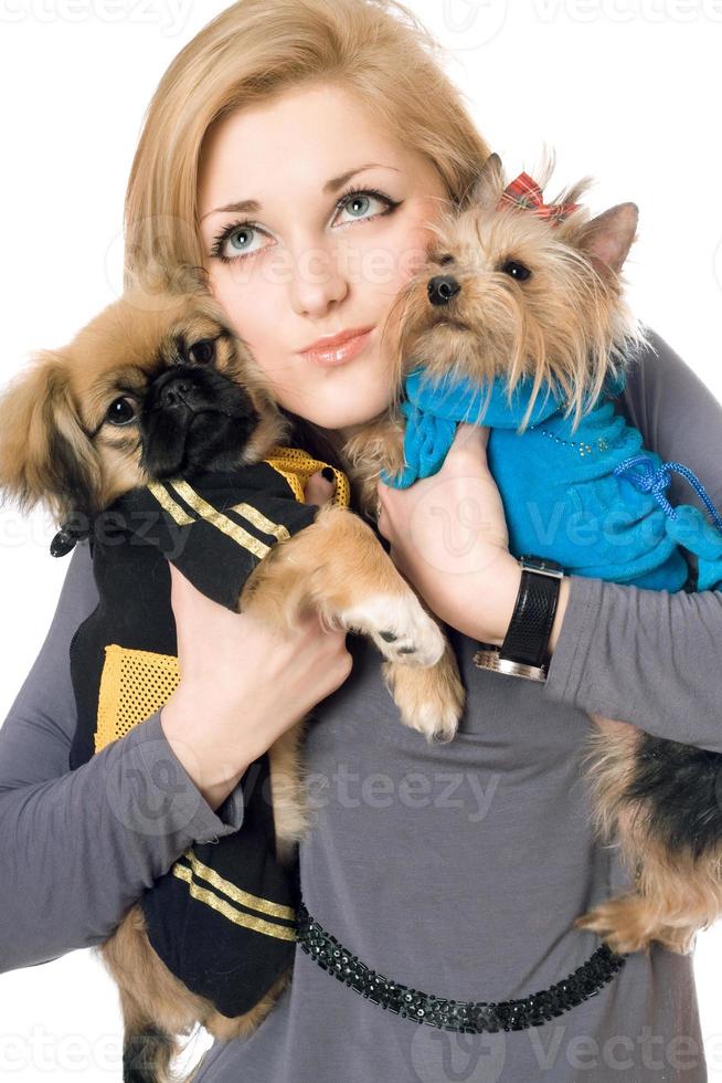 retrato de uma jovem loira atraente com dois cachorros. isolado foto