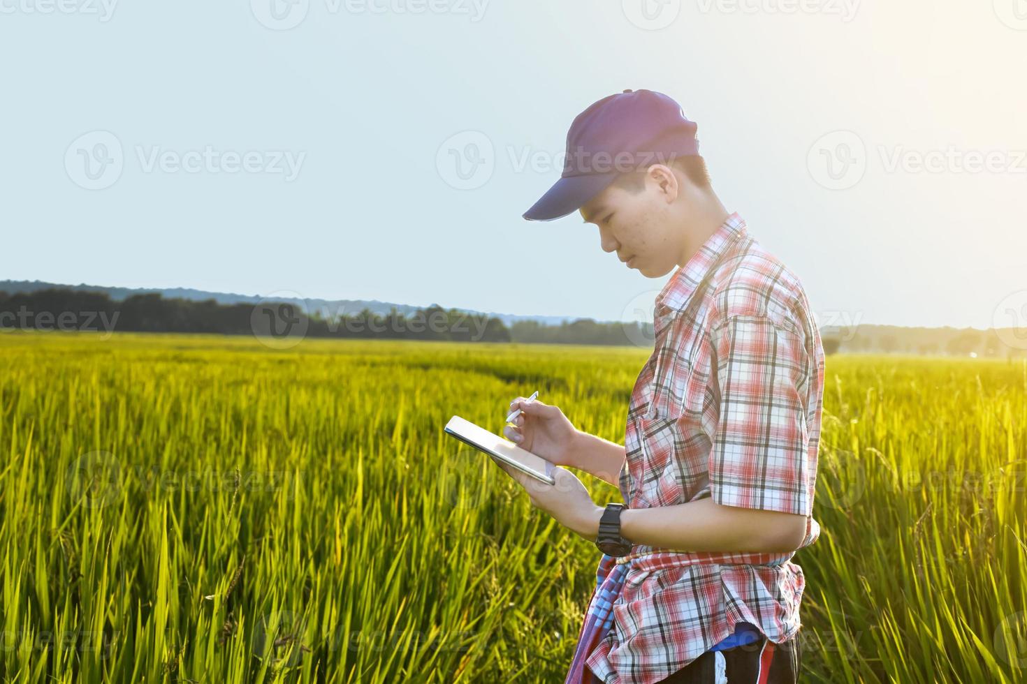 jovem adolescente asiático em camisa xadrez, usa boné e segurando o tablet nas mãos, de pé e usando seu tablet para pesquisar informações sobre o cultivo de arroz e fazer trabalhos de projeto escolar no arrozal. foto