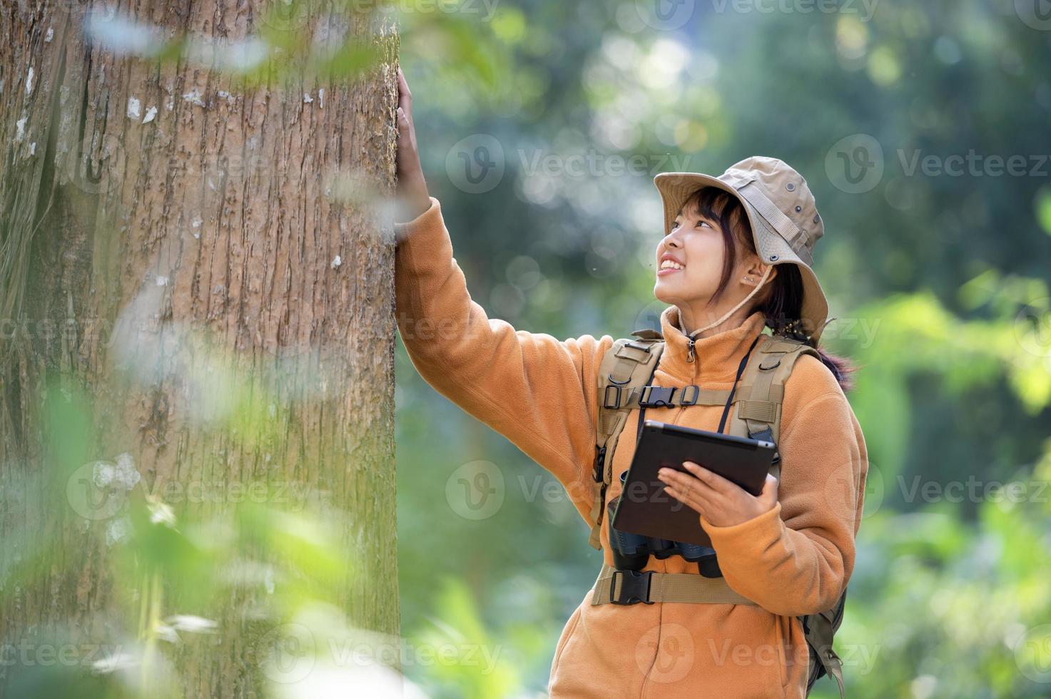 jovem turista com um casaco amarelo abraçando uma árvore na floresta do amor ecológico olhando para as copas das árvores jovem asiática examinando uma grande árvore ecológica foto