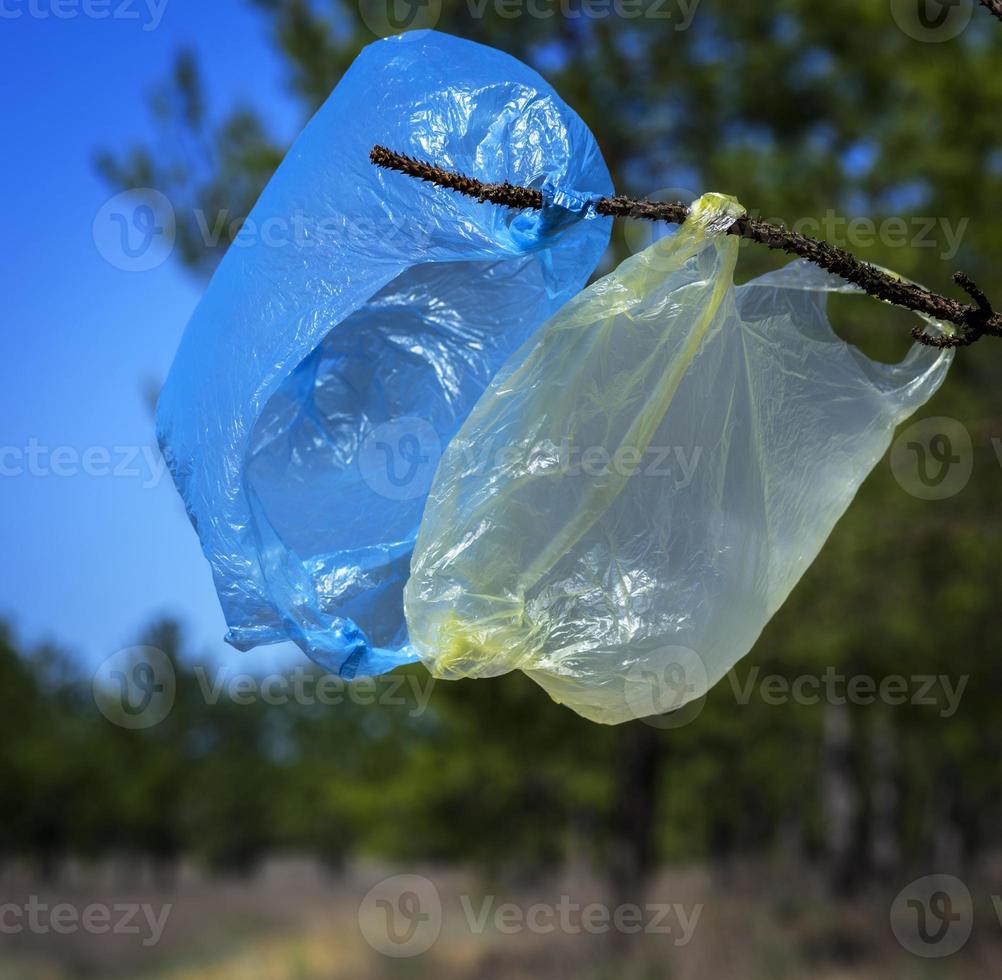 dois sacos plásticos vazios usados pendurados em um galho foto