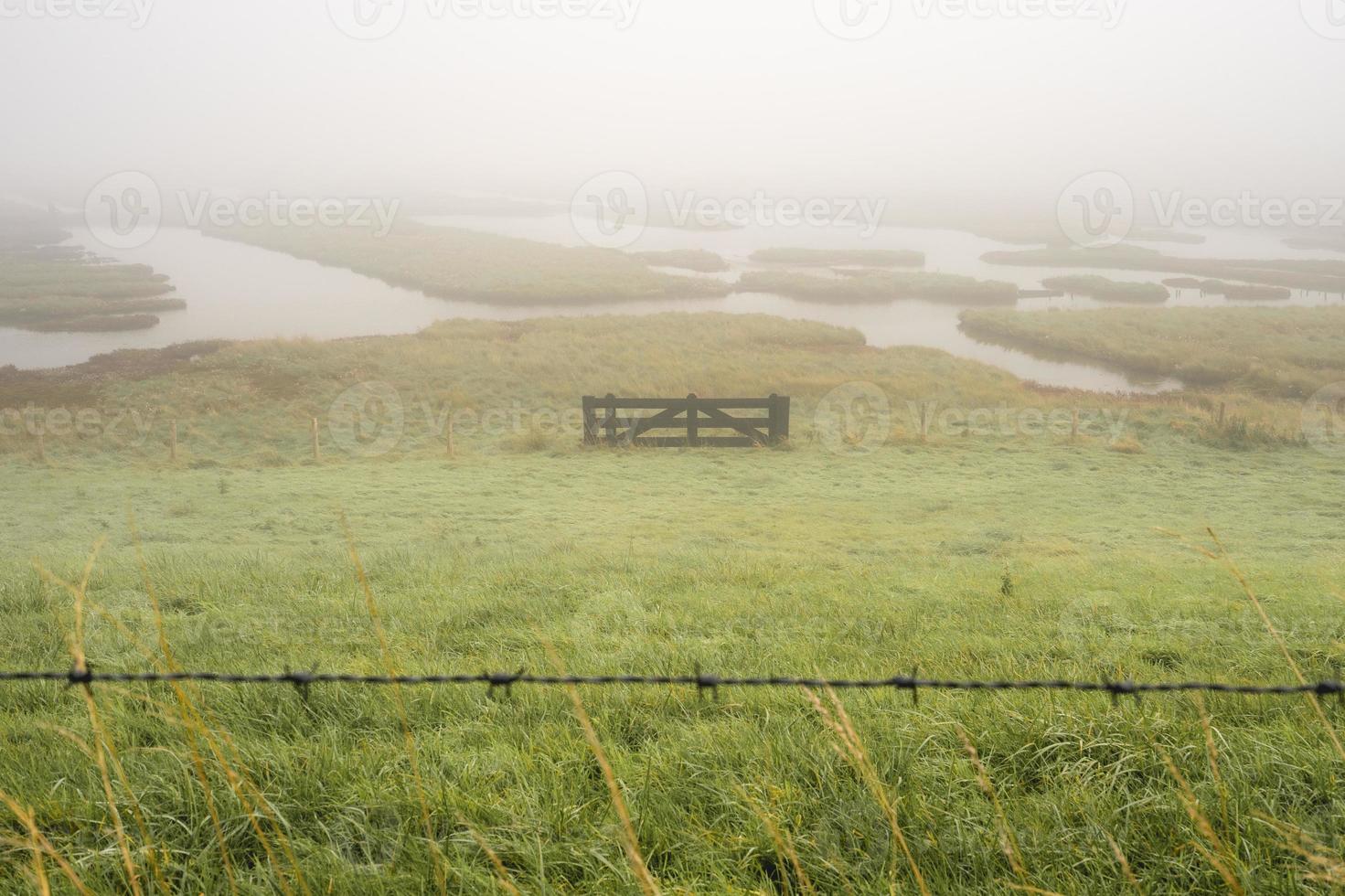 dia de nevoeiro sobre as zonas húmidas, burgh-haamstede, zeeland, países baixos. foto