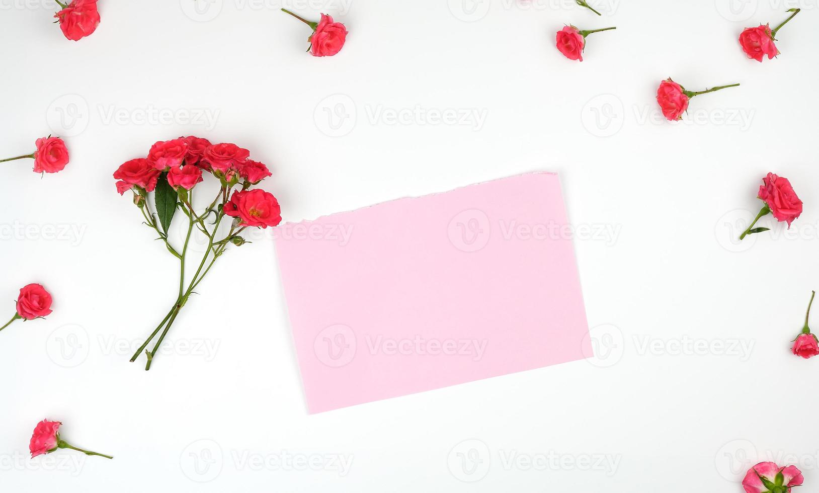 folha de papel vazia e botões florescentes de rosas cor de rosa em um fundo branco foto