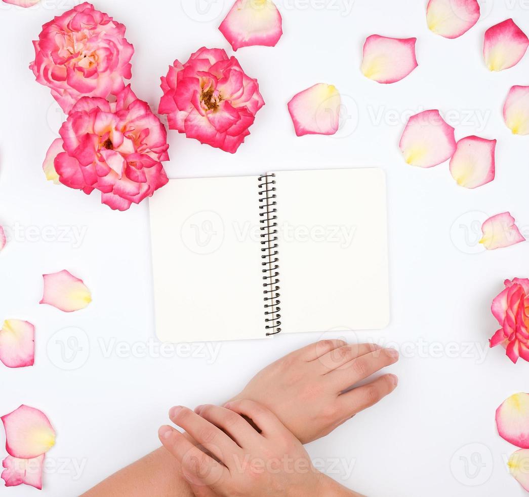duas mãos femininas segurando um bloco de notas aberto com lençóis brancos limpos foto