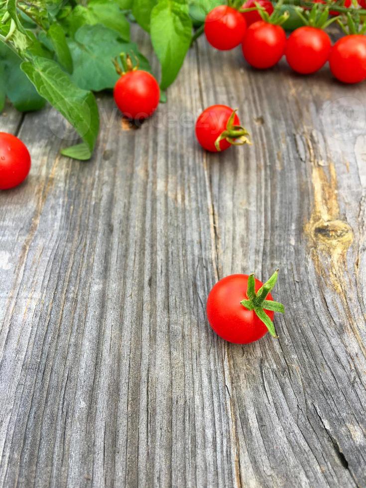 pequenos tomates cereja vermelhos em fundo cinza de madeira, foco seletivo foto