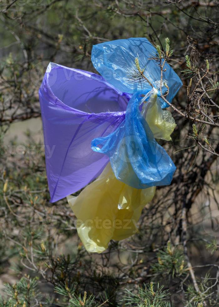 muitos sacos plásticos multicoloridos pendurados em um galho de pinheiro contra um fundo de floresta verde foto