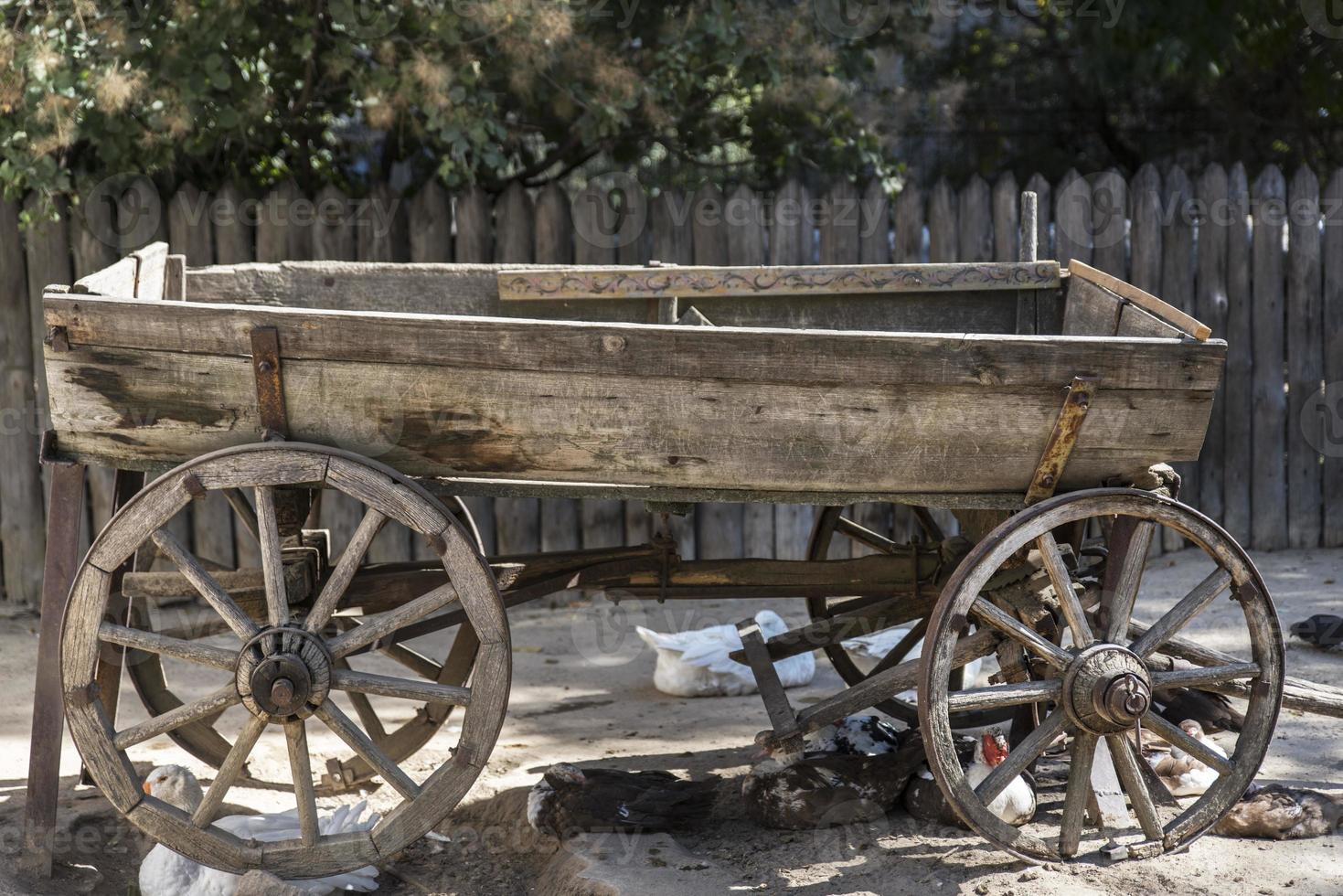 carrinho de madeira antigo e raro para cavalo foto