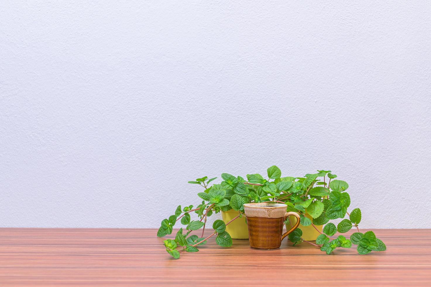 caneca de café e plantas na mesa foto