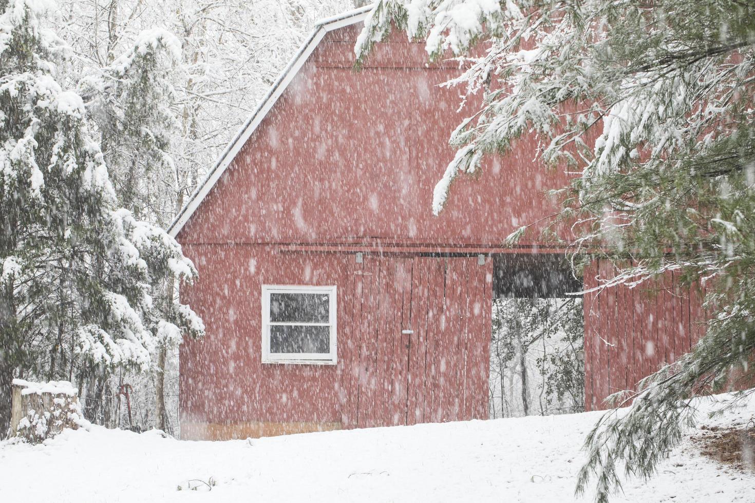 celeiro com porta aberta na neve foto