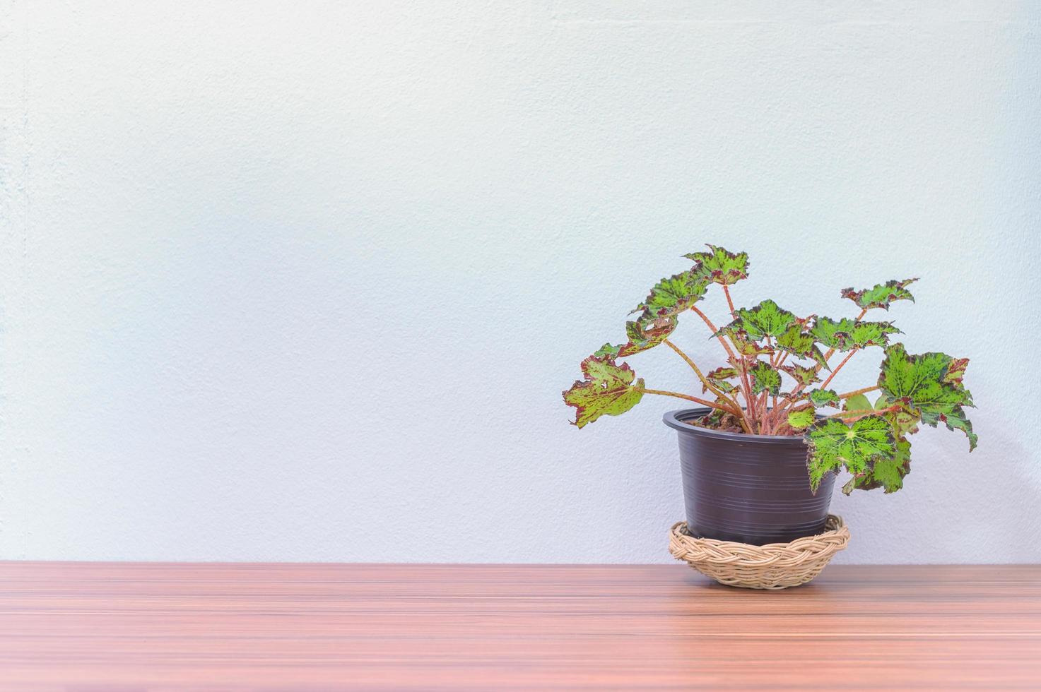 vaso de flores na mesa foto