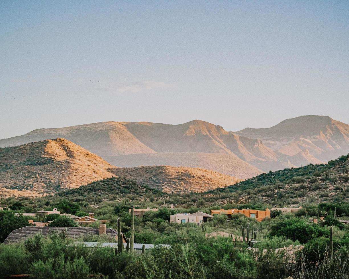 árvores verdes perto da montanha marrom durante o dia foto