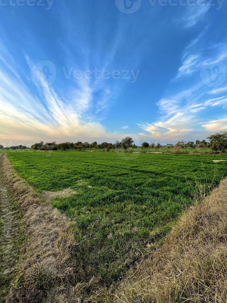 bela paisagem rural com lindo céu noturno gradiente ao pôr do sol. campo verde e aldeia foto