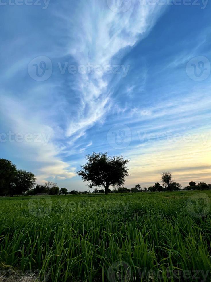 bela paisagem rural com lindo céu noturno gradiente ao pôr do sol. campo verde e aldeia foto