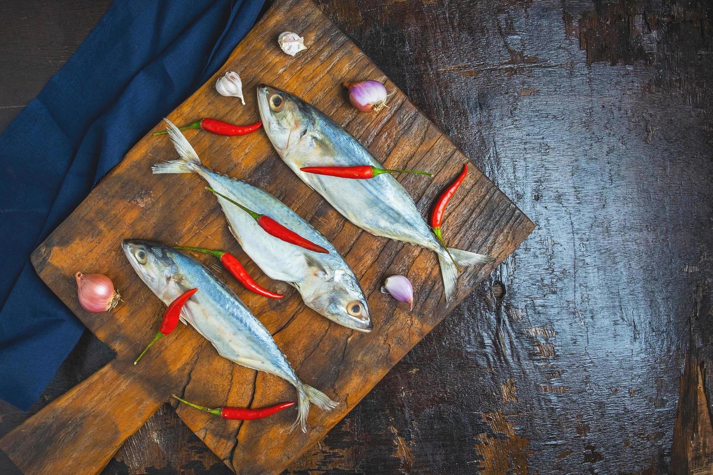 peixe cavala em fundo escuro foto