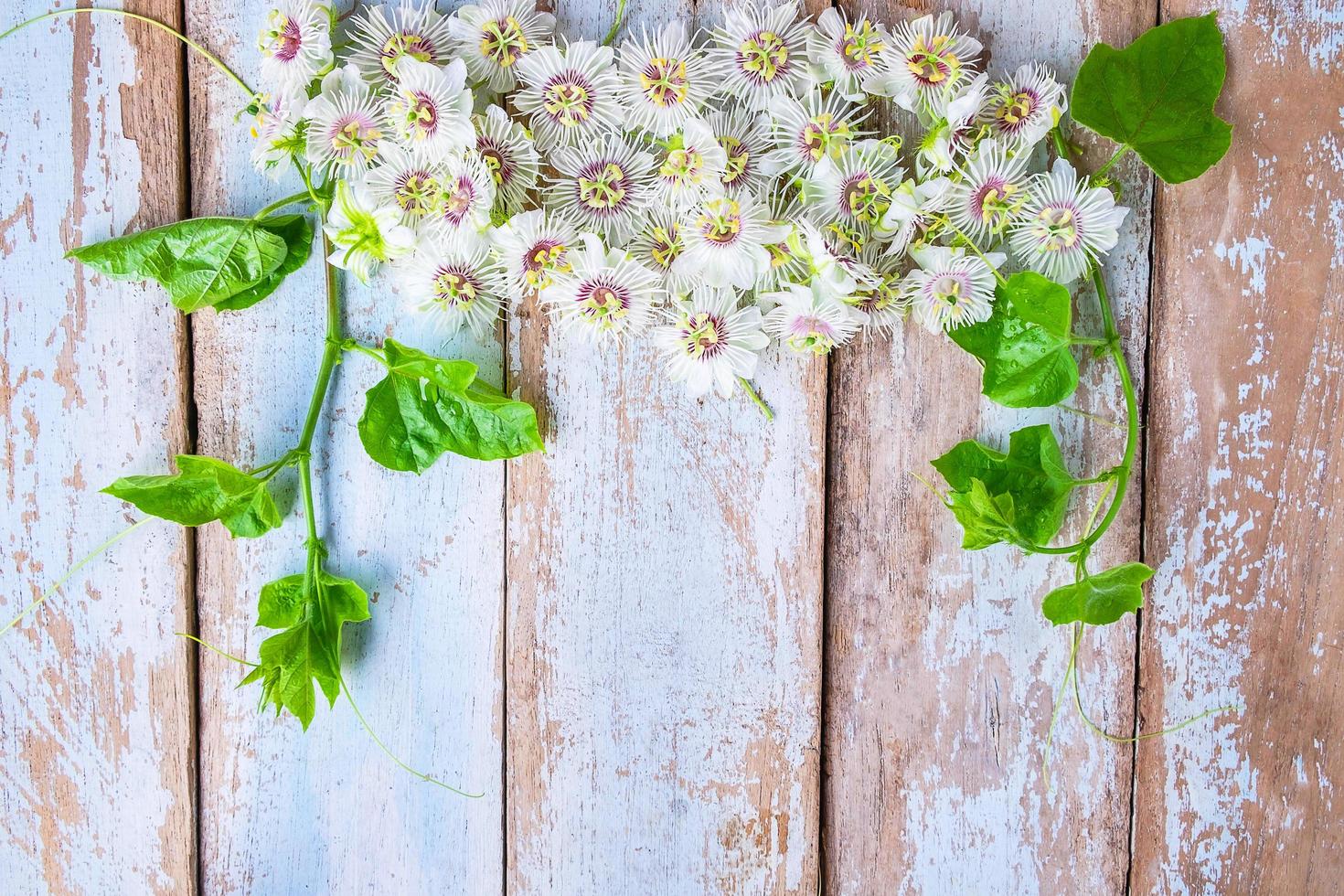 flores brancas na mesa foto