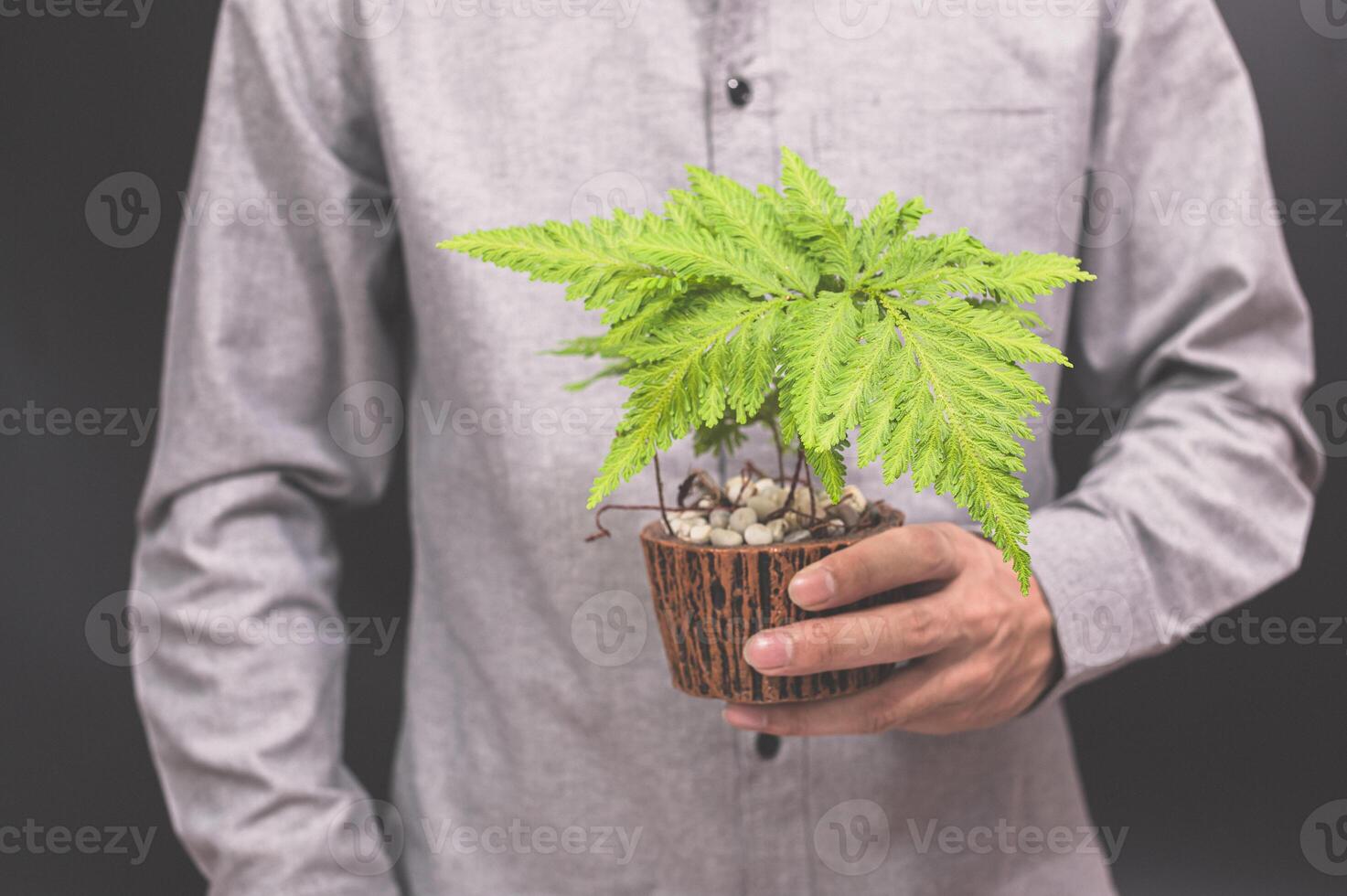 mão segurando um vaso de flores foto